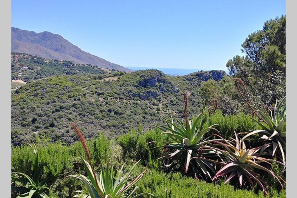 Fotografie z fotogalerie ubytování Casa Mariposa v destinaci Casares