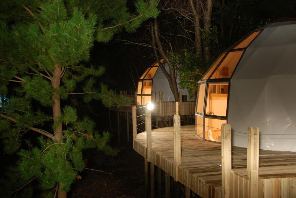 Foto da galeria de Magma Lodge, Pucon em Pucón
