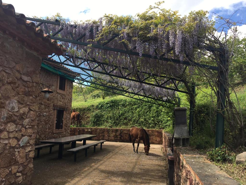 Ogród w obiekcie Casa Rural Finca El Tornero