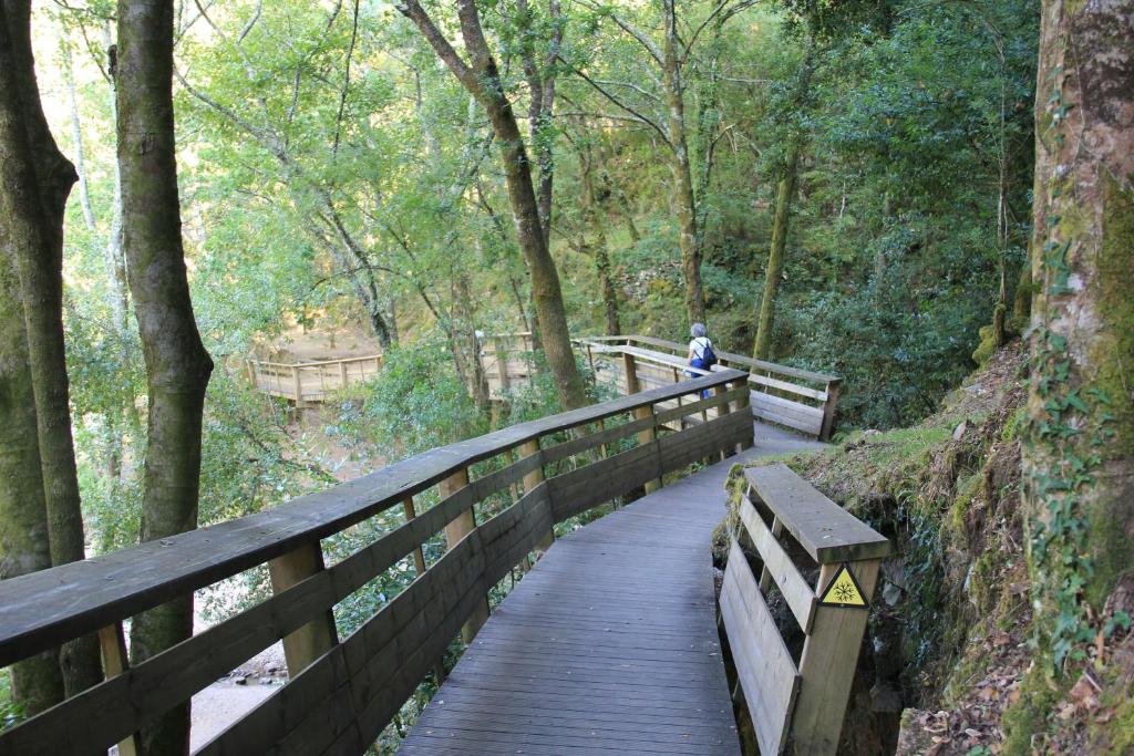 a person walking on a wooden bridge in the woods at Casa da Bichaca in Castelo de Paiva