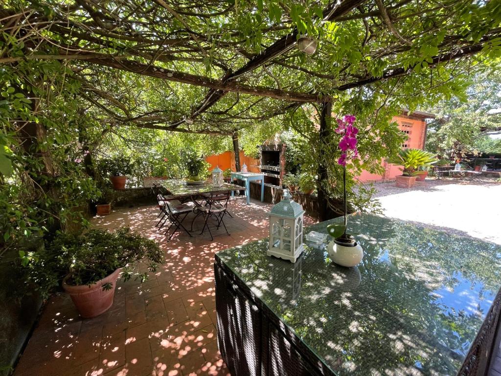 Zahrada ubytování Agriturismo Podere Marchiano
