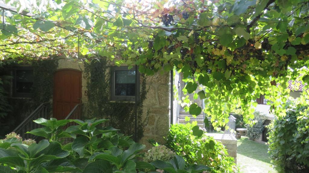 une porte menant à une maison avec du lierre vert dans l'établissement T0 Eira Trás, à Vieira do Minho