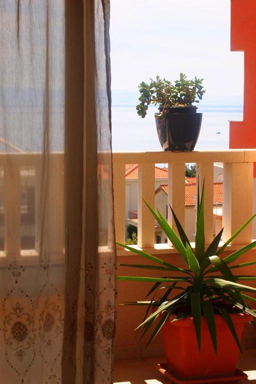 Agava Apartments Begic, Makarska (updated prices 2025) - 14