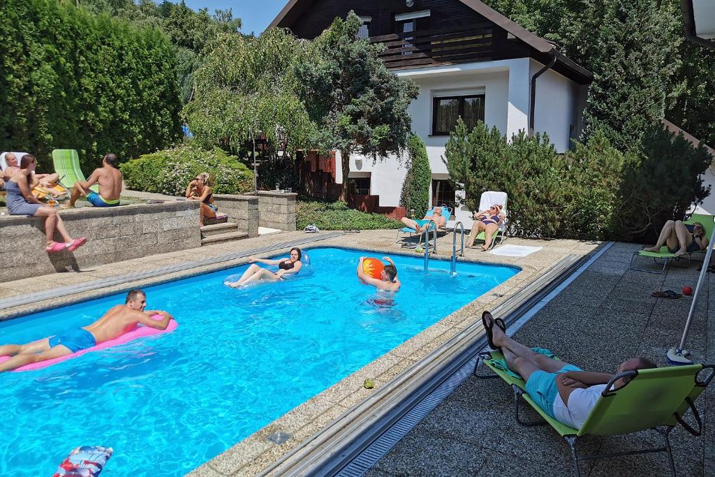 Vily Jedličí - Housity