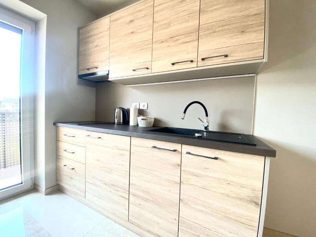 Kuchyň nebo kuchyňský kout v ubytování Rooms and Apartments Lisjak