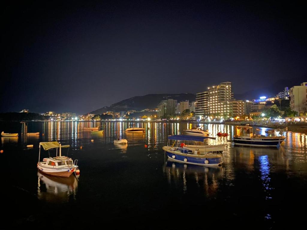 Peisaj natural din apropierea acestui apartament