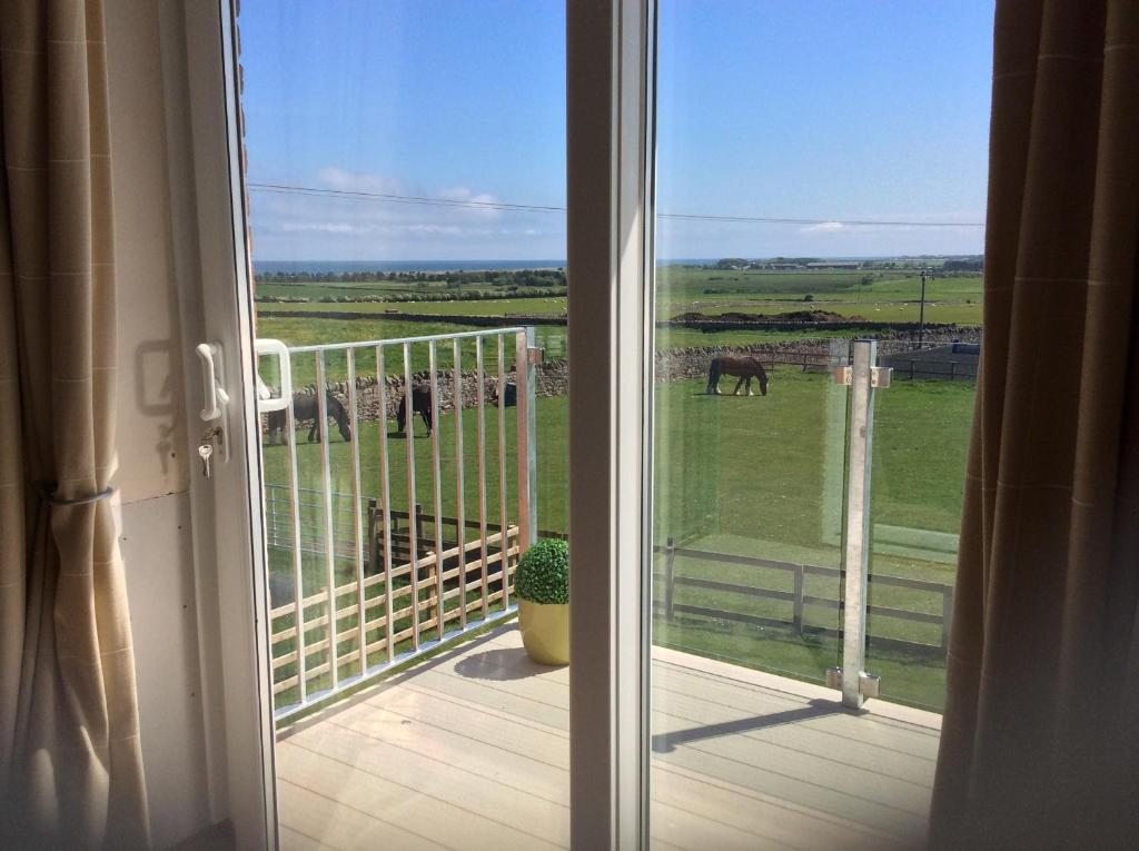 an open door to a balcony with horses in the field at Springwood in Seahouses