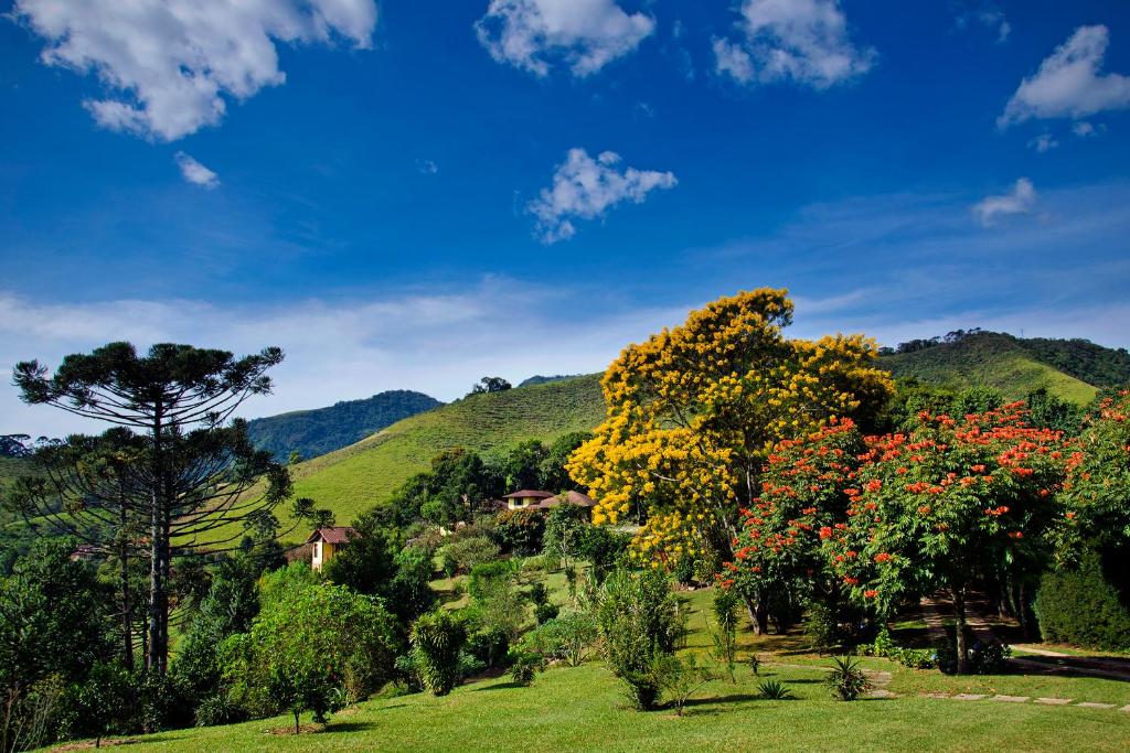  Pousada Nó da Madeira