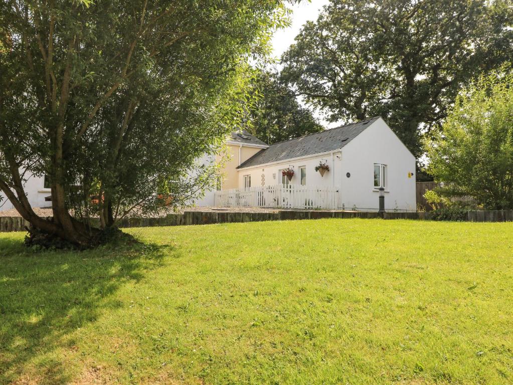 um celeiro branco com uma árvore num quintal em Love Cottage em Tenby