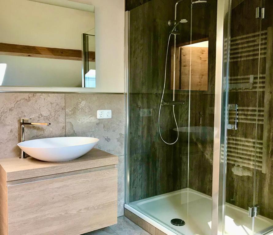 a bathroom with a sink and a shower with a sink at Chalet Dürrfeld ***** in Viechtach