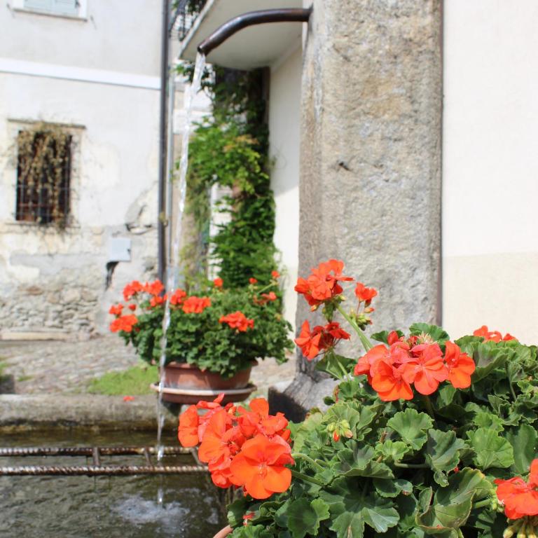 Zahrada ubytování B&B Al Portico