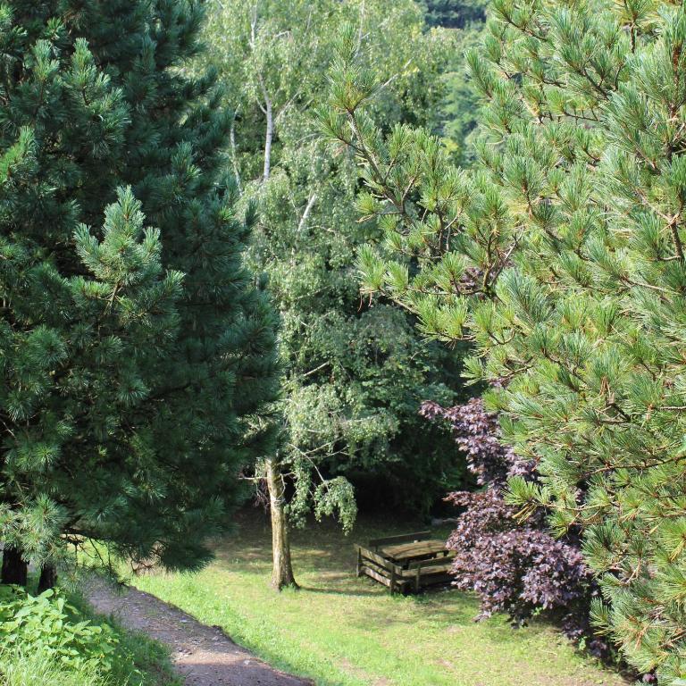 Příroda nedaleko bed and breakfast