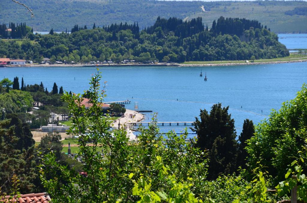 a view of a large body of water with trees at Apartments Ostanek in Portorož
