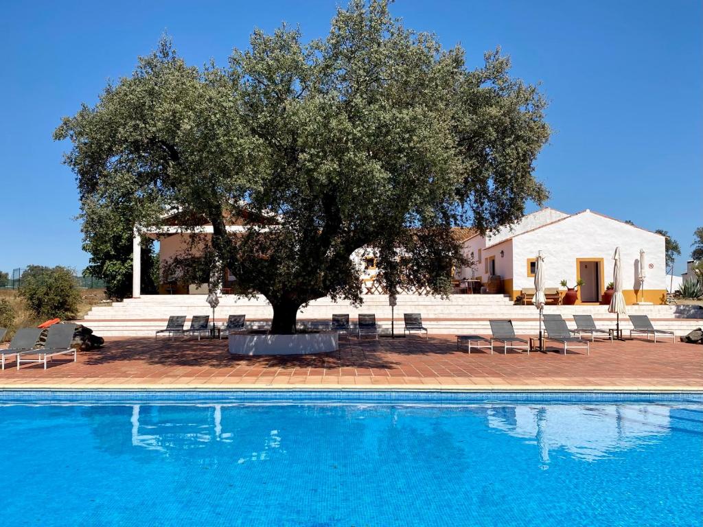 a tree sitting next to a blue swimming pool at Quinta dos Amarelos in Vaiamonte