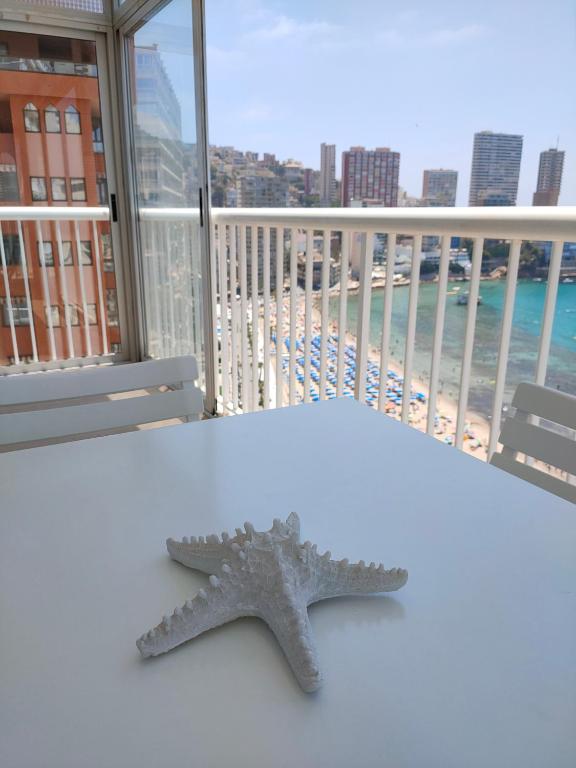 Apartamento Veracruz - Primera Linea de Playa, Benidorm ...