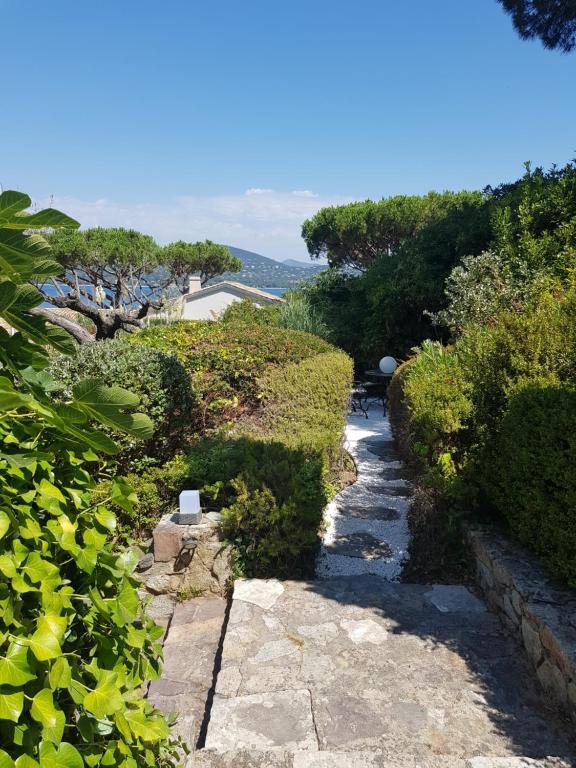 a stone path with bushes and trees on a hill at Hotel Villa Maya in Saint-Tropez