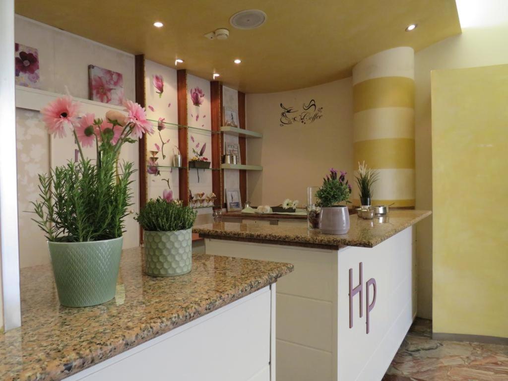 Kuchyň nebo kuchyňský kout v ubytování Hotel Primula