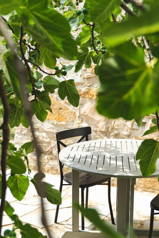 Zahrada ubytování Agriturismo Le Fonti