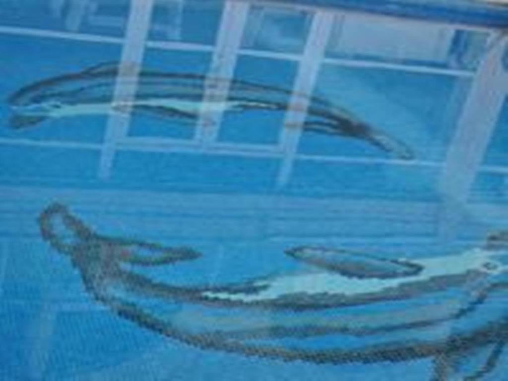 Fotografie z fotogalerie ubytování Ucem Hotel Golden Sea v destinaci Altinoluk