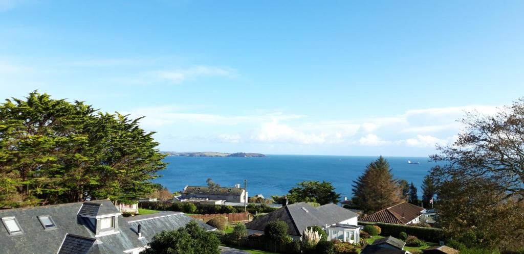 Trelawne Hotel - Habitación Individual Estándar Con Ducha