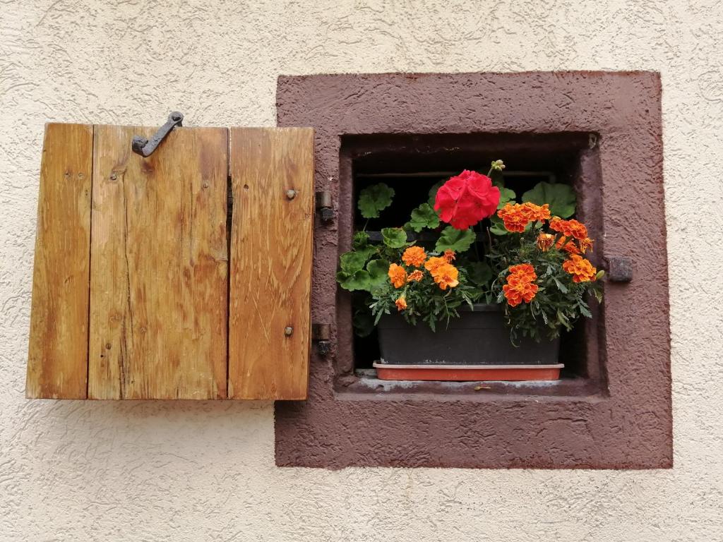 Gîte Le Patio – photo 12