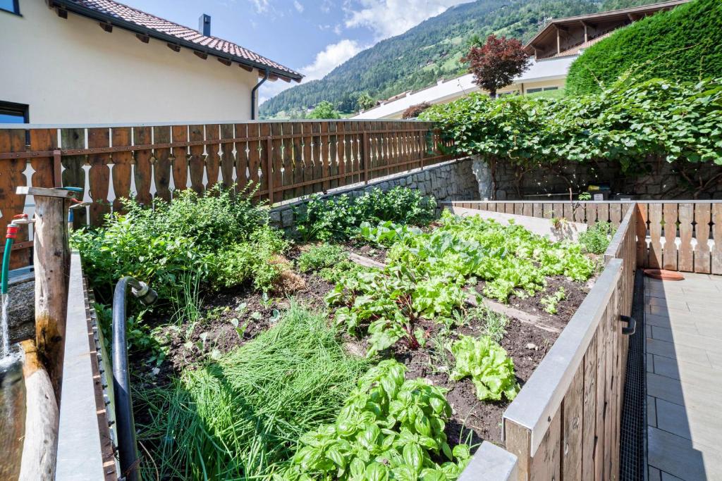 Vonkajšia záhrada v ubytovaní Sonnenparadies Apartement 2