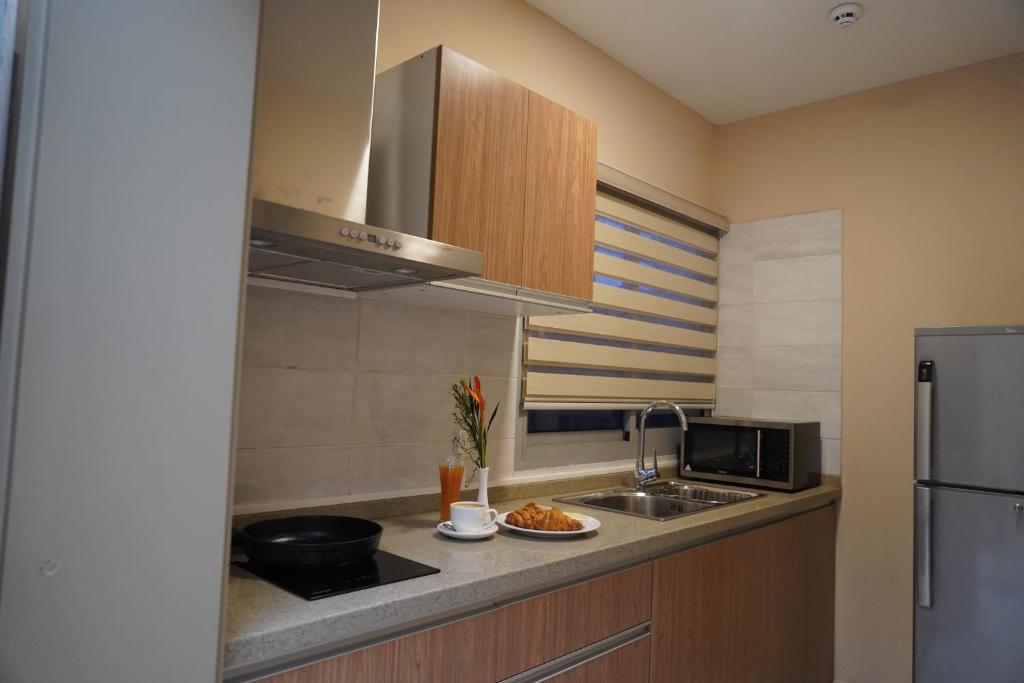 Kuchyň nebo kuchyňský kout v ubytování HOTEL ASTRAL