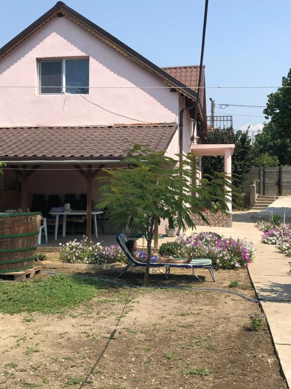 Zahrada ubytování Vila Siminica