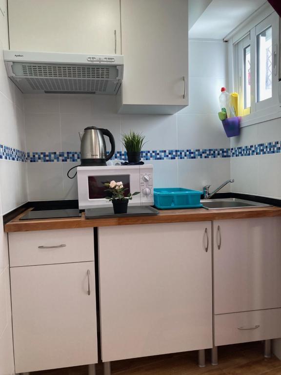 Kuchnia lub aneks kuchenny w obiekcie Malagueña Salerosa "Apartamento - estudio con terraza" En casa típica de 1 a 4 dormitorios