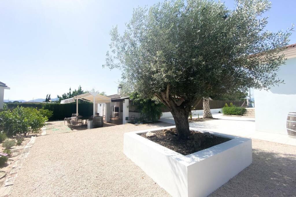 Zahrada ubytování Relax en la huerta de Murcia