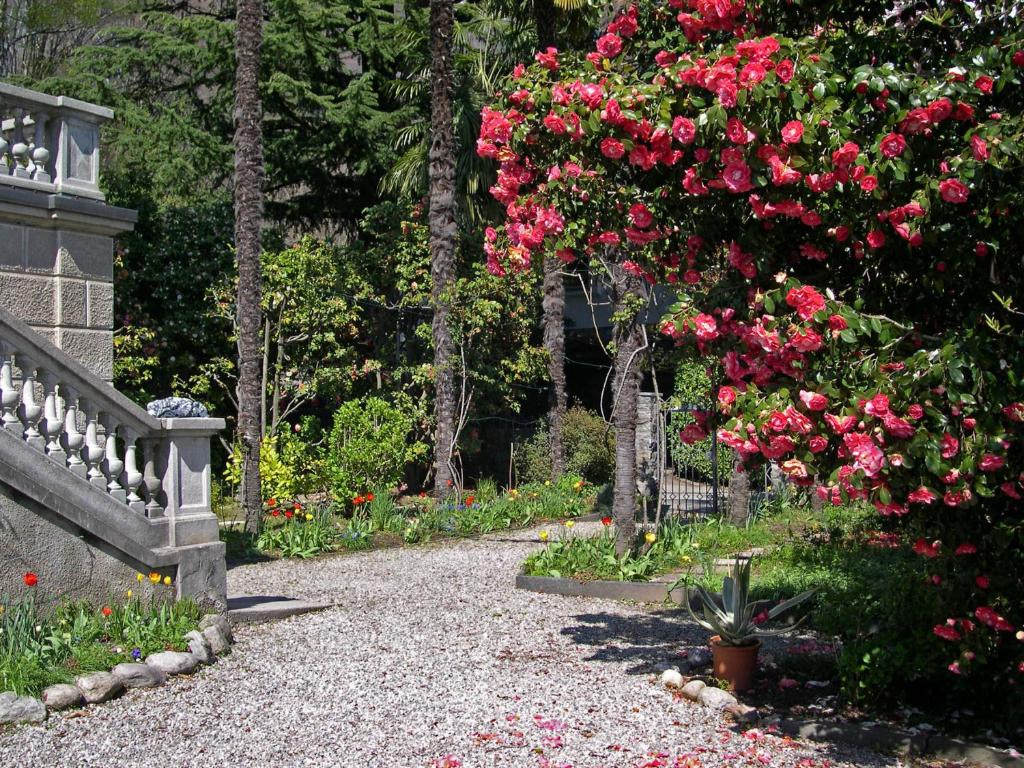 Zahrada ubytování Bed and Breakfast Casa Locarno