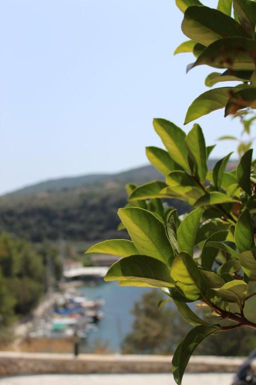 Príroda v okolí apartmánu