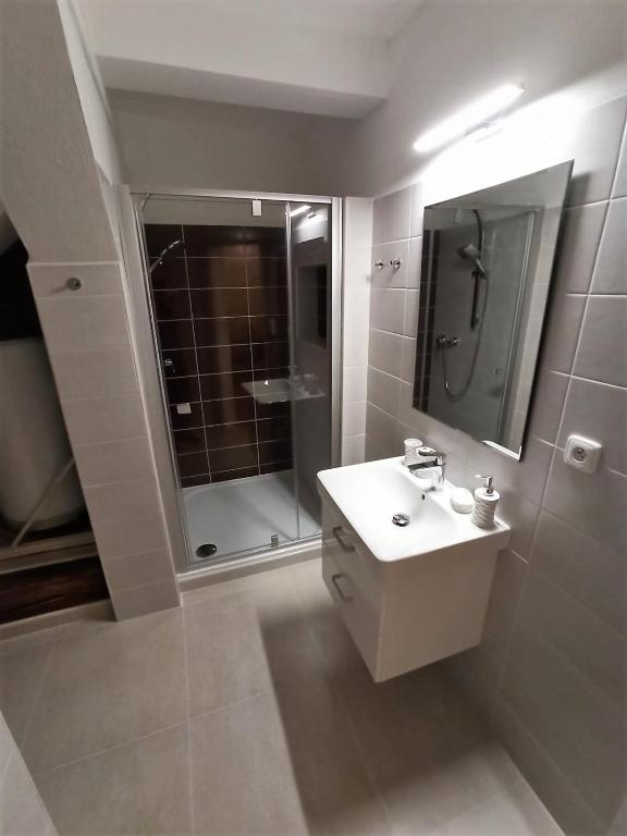 Koupelna v ubytování Apartmany U Lva