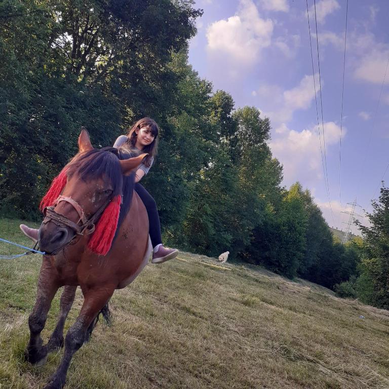 Jízda na koni v kempu nebo okolí