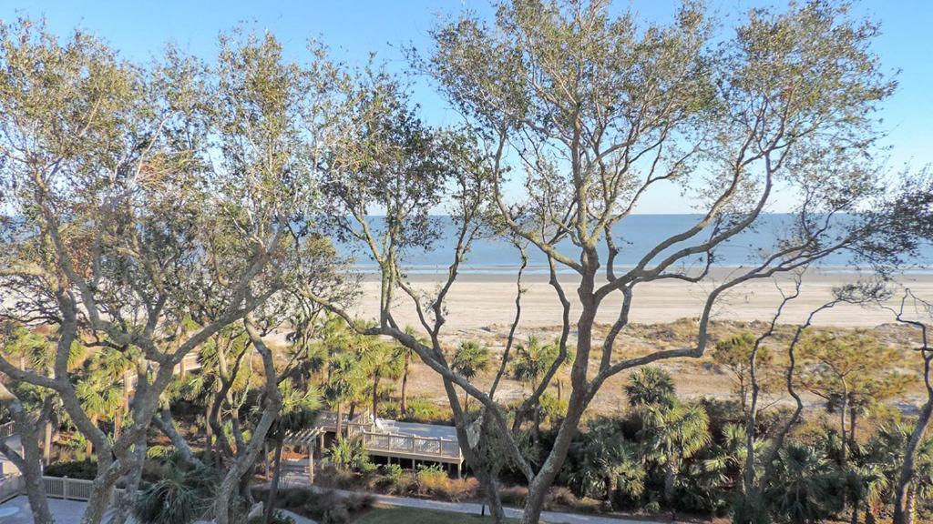 a view of the beach from behind some trees at 5506 Hampton Place South in Hilton Head Island