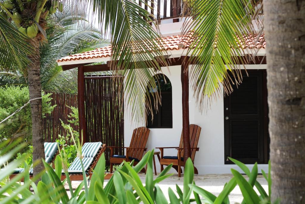 Zahrada ubytování Casa Colibrí Tankah