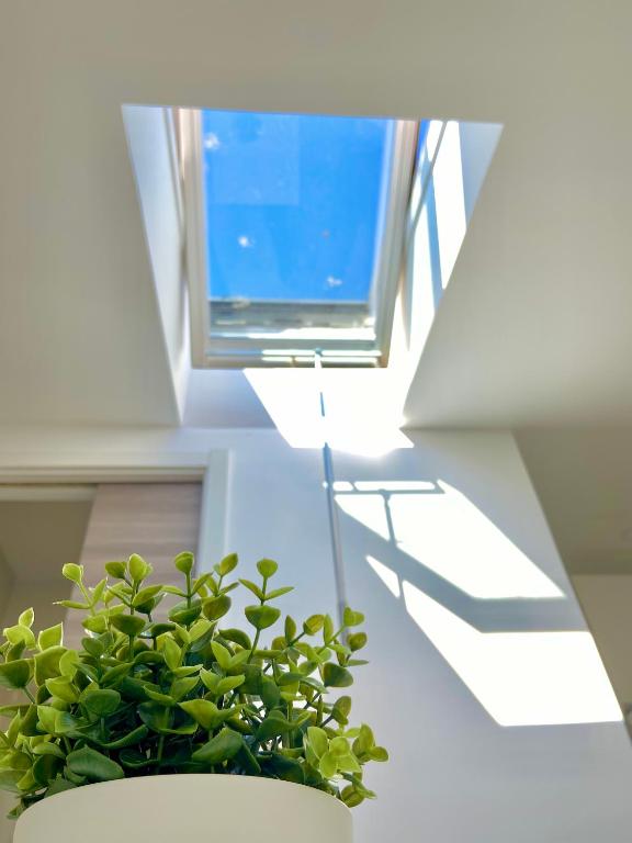 BrightHouse Nazaré - Modern Apartments - 3