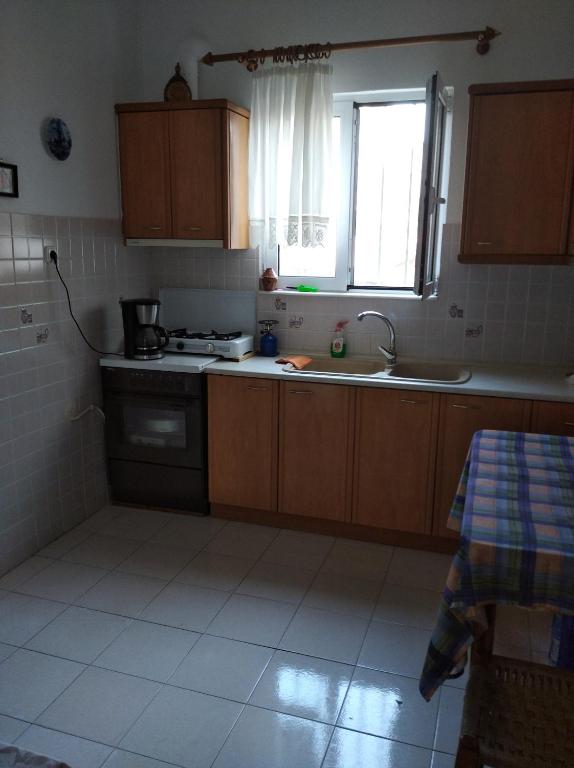 Kuchyň nebo kuchyňský kout v ubytování Hotel Ion