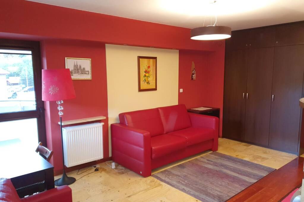ein Wohnzimmer mit einem roten Sofa und einer Lampe in der Unterkunft Przytulny apartament nr 115 Krynica Zdrój in Krynica-Zdrój