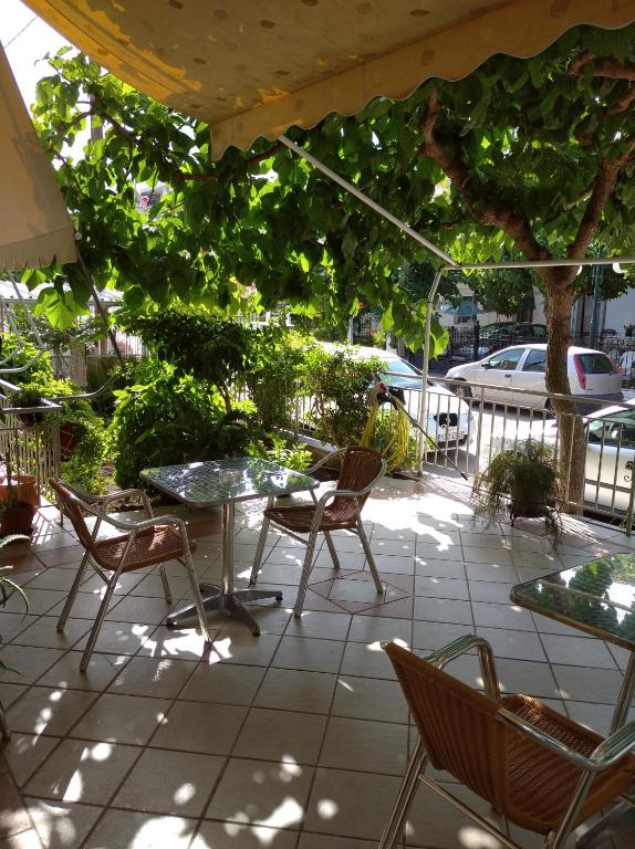 Zahrada ubytování Hotel Ion