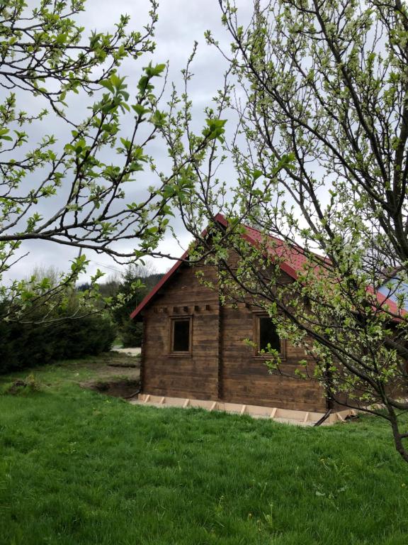 a small wooden house with a red roof at Chatka Uchatka in Stronie Śląskie