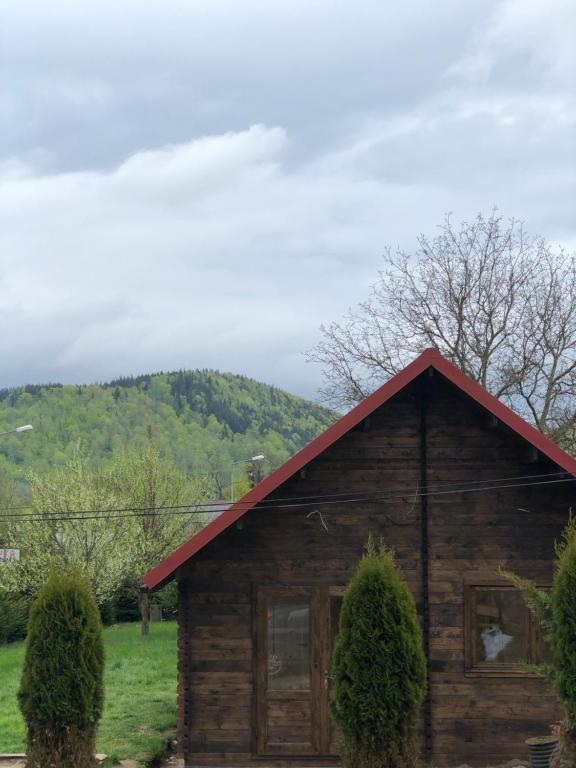 Príroda v okolí dovolenkového domu