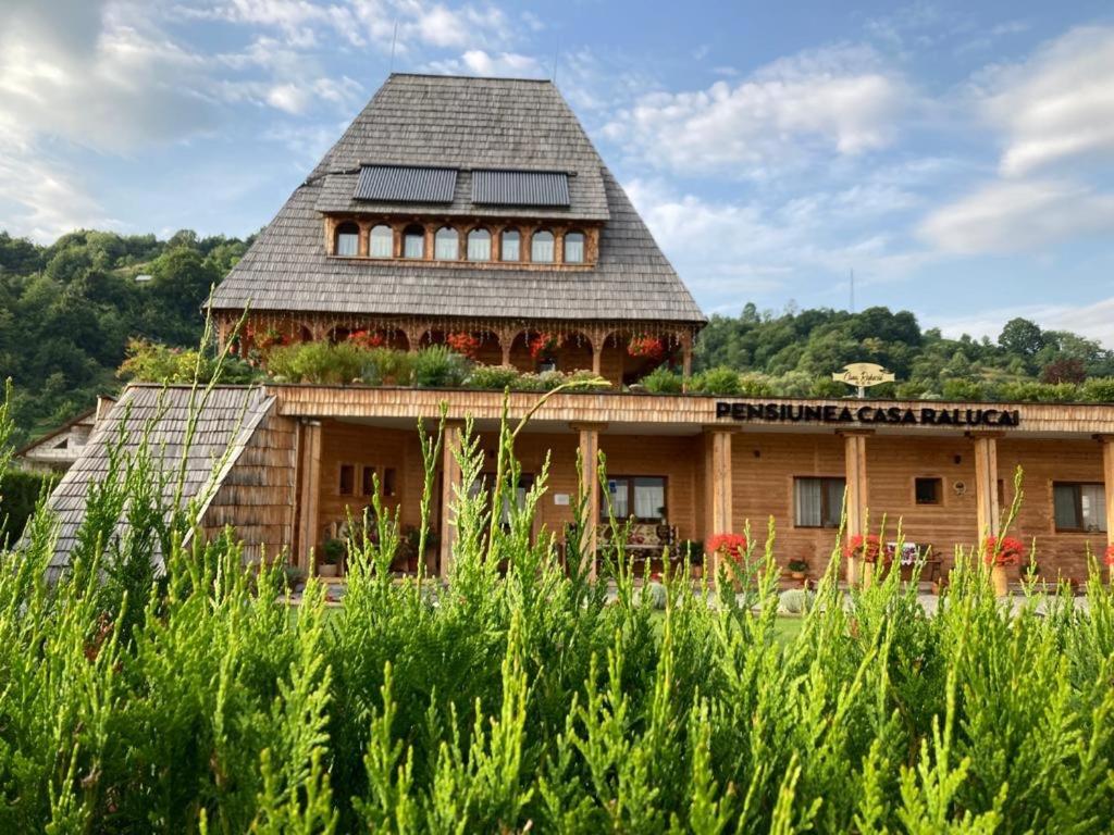 a building with a roof with plants on it at Casa Ralucăi in Moisei
