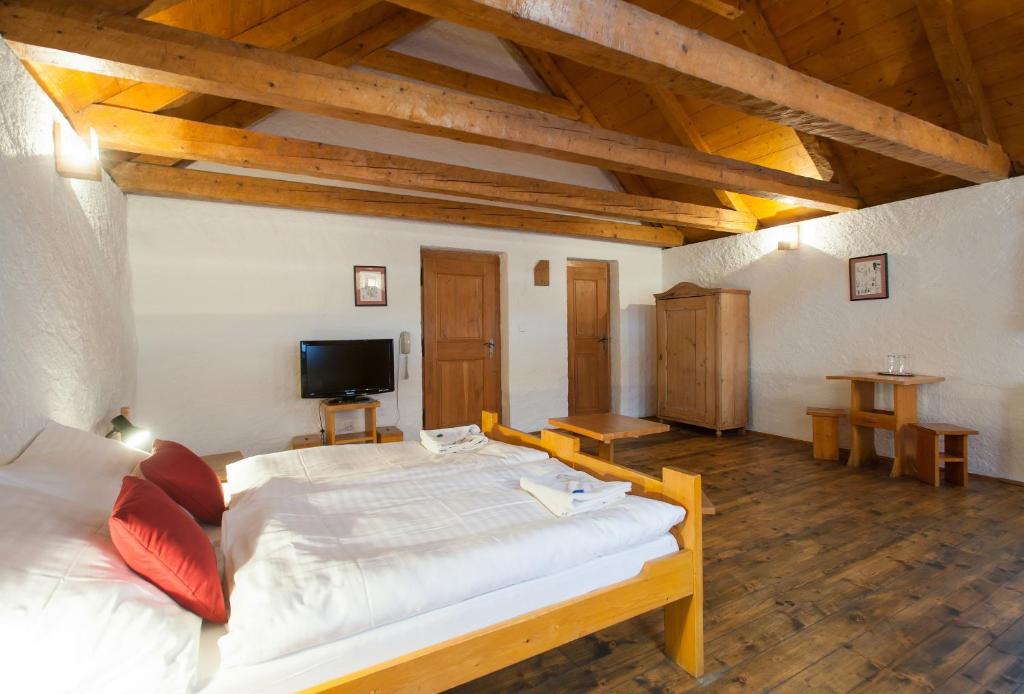 Hotel U Malého Vitka - 11