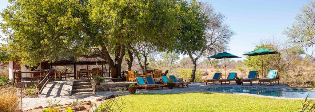 een groep stoelen en parasols naast een zwembad bij Ku Sungula Safari Lodge in Balule Game Reserve