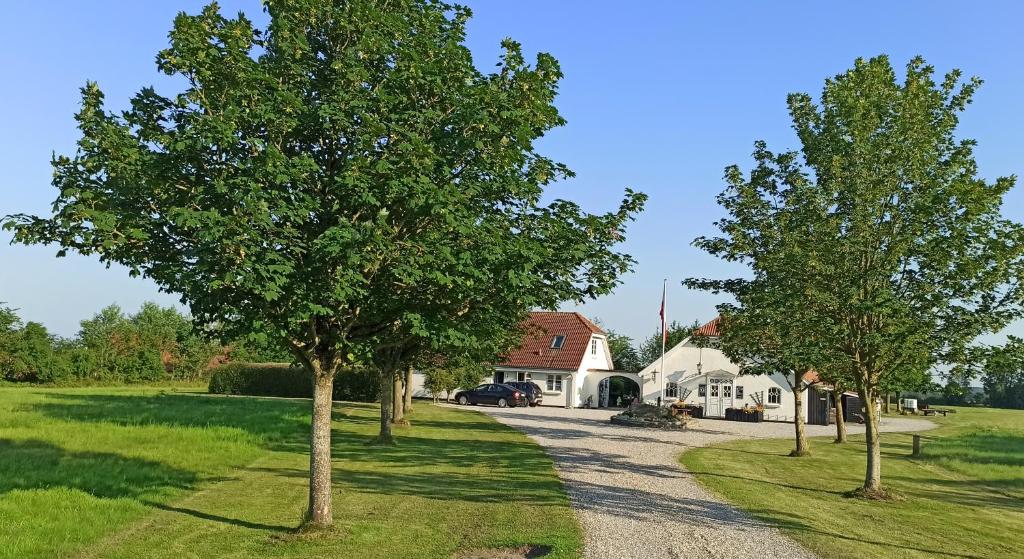 a driveway leading to a house with trees at Dragondrum Bed & Kitchen in Ullerslev