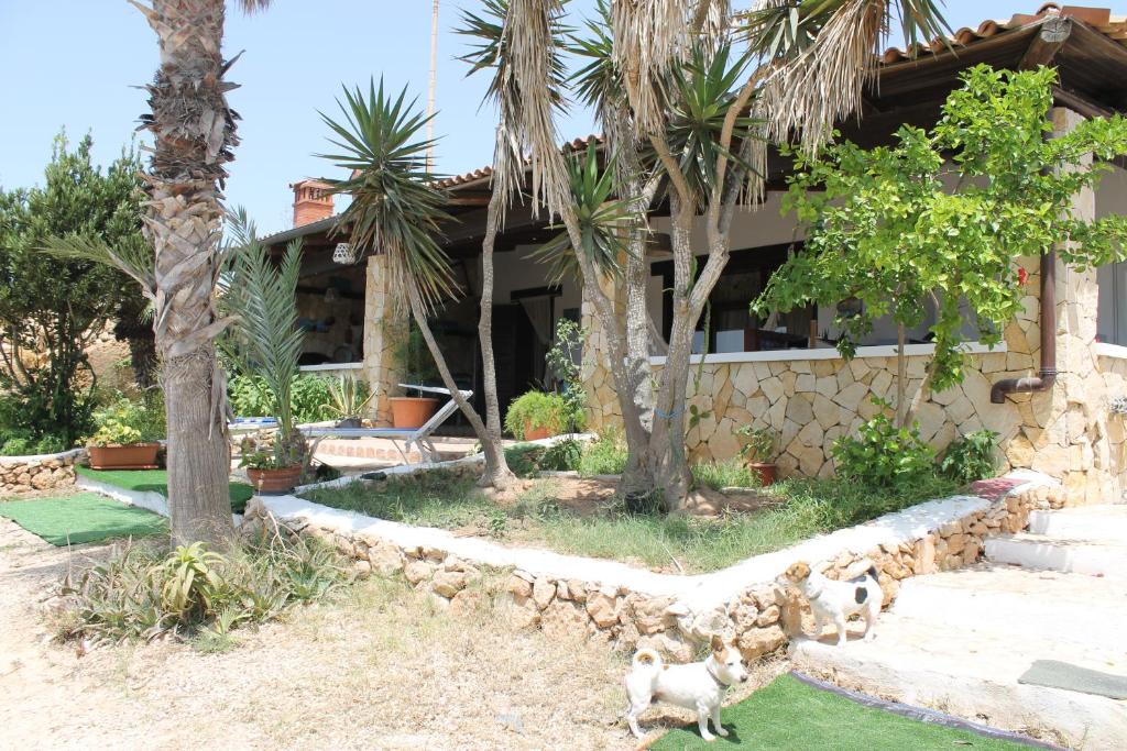 un grupo de animales parados frente a una casa en Villa Dalila en Lampedusa