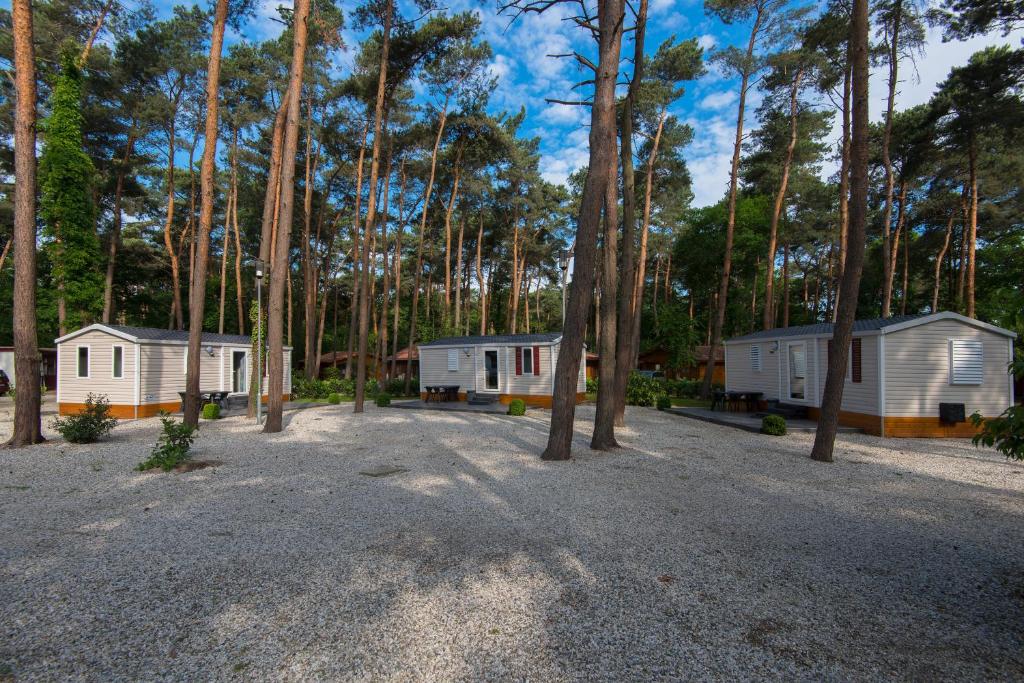 Bospark De Brenkberg - Mobile Home