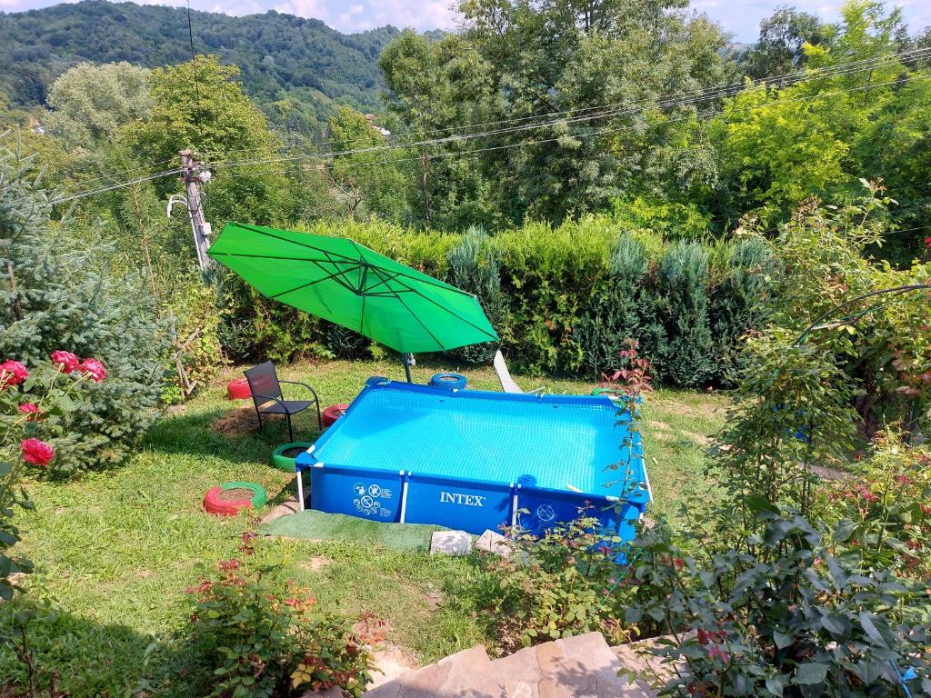 un parasol vert et une baignoire bleue dans le jardin dans l'établissement Casuta cu Trandafiri, à Slănic