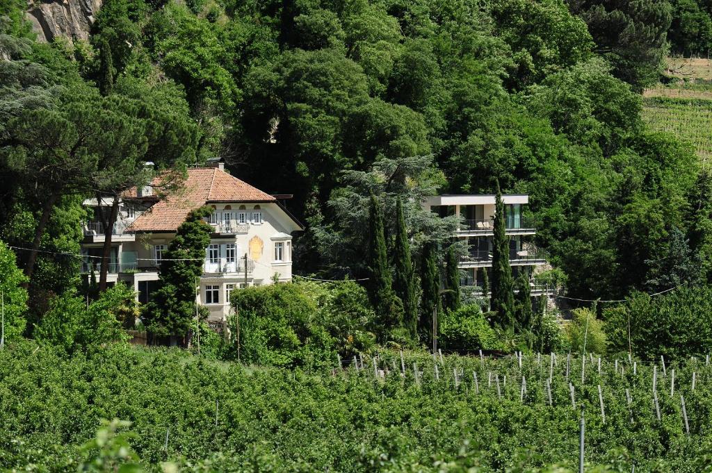 dom na środku wzgórza z drzewami w obiekcie Villa Sasso w Meranie